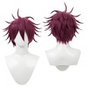 マッシュル-MASHLE- カルパッチョローヤン コスプレウィッグ