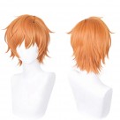 プロジェクトセカイ カラフルステージ! プロセカ 東雲彰人 しののめ あきと コスプレウィッグ