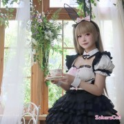 ラブライブ！ミューズ スクフェス2 南 ことり ことりちゃんお誕生日記念 二人でコスプリ♡ 未覚醒 コスプレ衣装