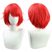 美少年探偵団 袋井 満 コスプレウィッグ