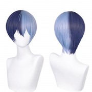 プロジェクトセカイ カラフルステージ! プロセカ 青柳 冬弥 あおやぎ とうや コスプレウィッグ