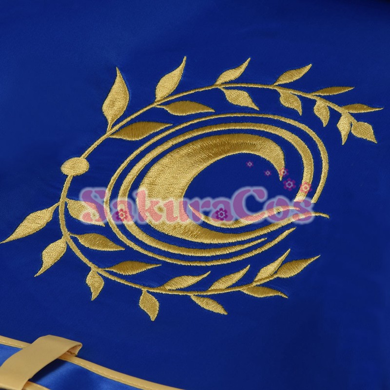 Fate/Grand Order FGO 巴御前 水着 ジャケット コスプレ衣装